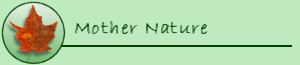 Mother Nature